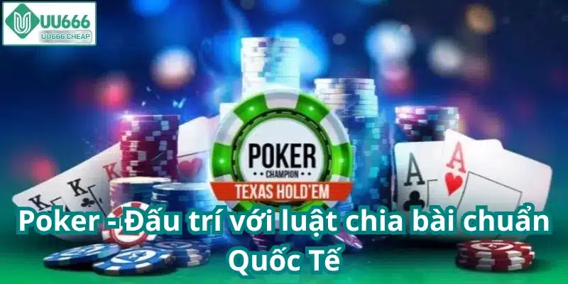 Poker - Đấu trí với luật chia bài chuẩn quốc tế